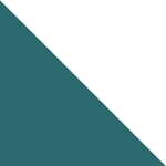 Bi - Turquoise / Blanc