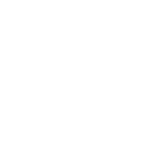 Logo Ector sneakers