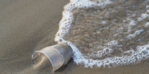 Verre en plastique dans la mer