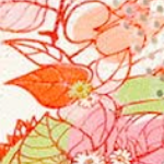 Fleurs Roses