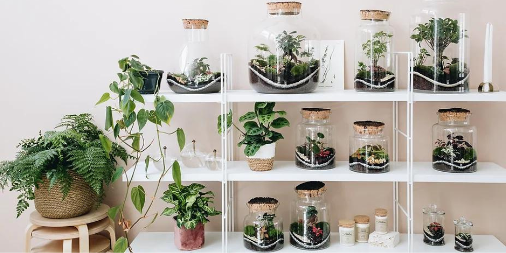 terrarium recyclé Onno Jardins Intérieurs