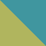 Bi - Kiwi